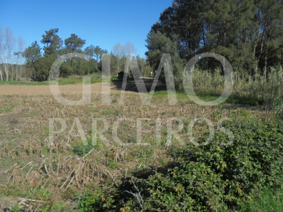 Terreno para Venda em Oiã Foto 6