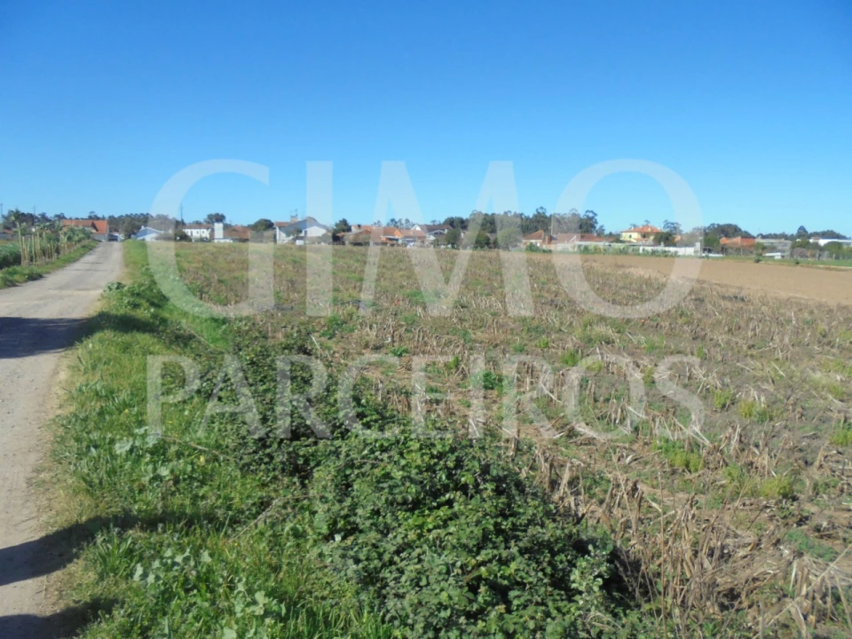 Terreno para Venda em Oiã Foto 7