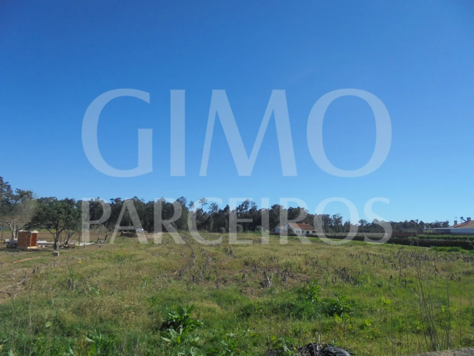 Terreno para Venda em Oiã Foto 15