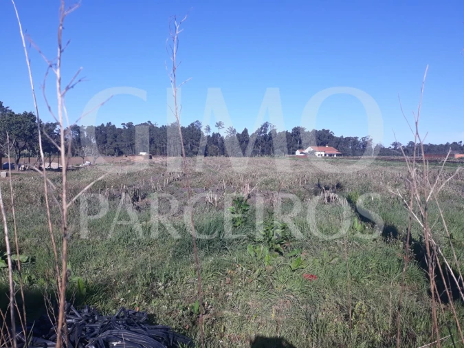 Terreno para Venda em Oiã Foto 1