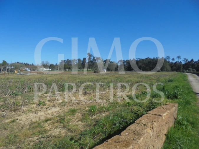 Terreno para Venda em Oiã Foto 2