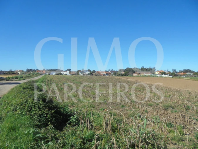 Terreno para Venda em Oiã Foto 9