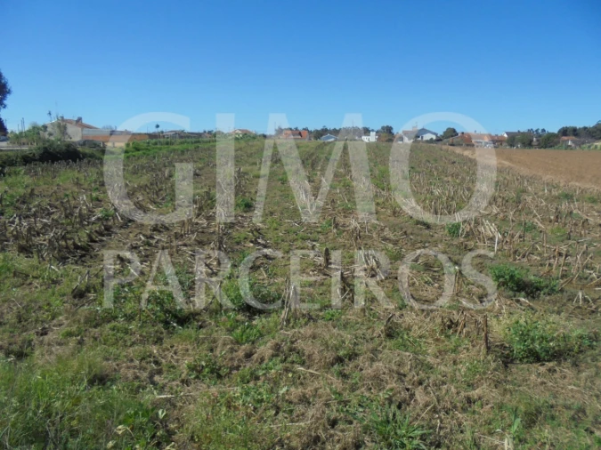 Terreno para Venda em Oiã Foto 13