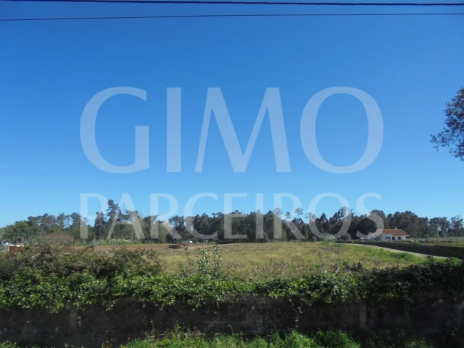 Terreno para Venda em Oiã Foto 14