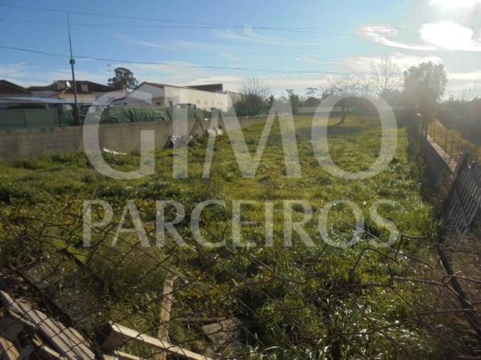 Terreno para Venda em Tamengos, Aguim e Óis do Bairro Foto 4