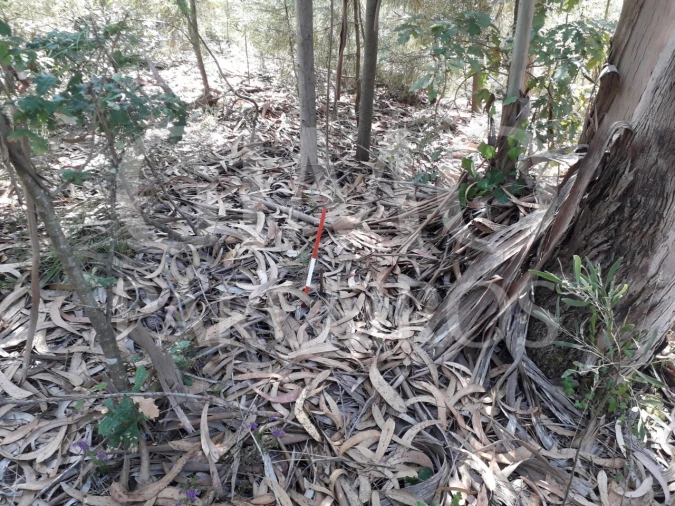 Terreno Agricola ou Rústico para Venda em Oliveirinha Foto 3