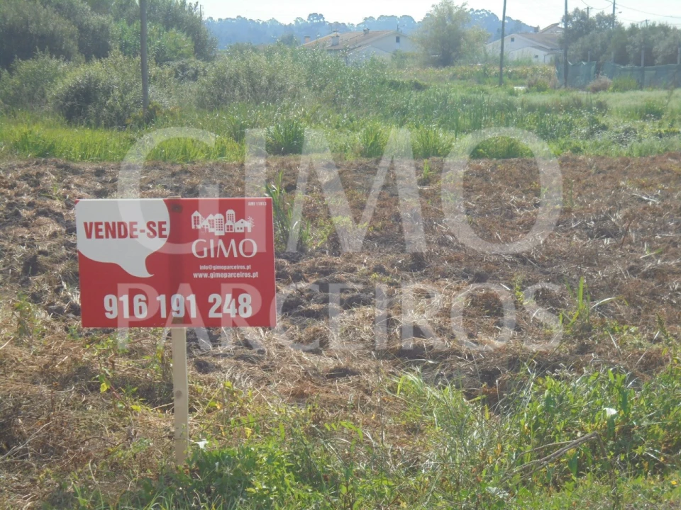 Terreno para Venda em Bustos, Troviscal e Mamarrosa Foto 1