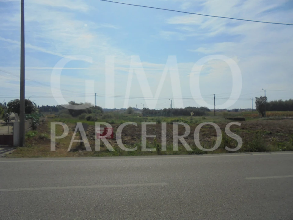 Terreno para Venda em Bustos, Troviscal e Mamarrosa Foto 2