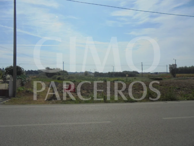 Terreno para Venda em Bustos, Troviscal e Mamarrosa Foto 2