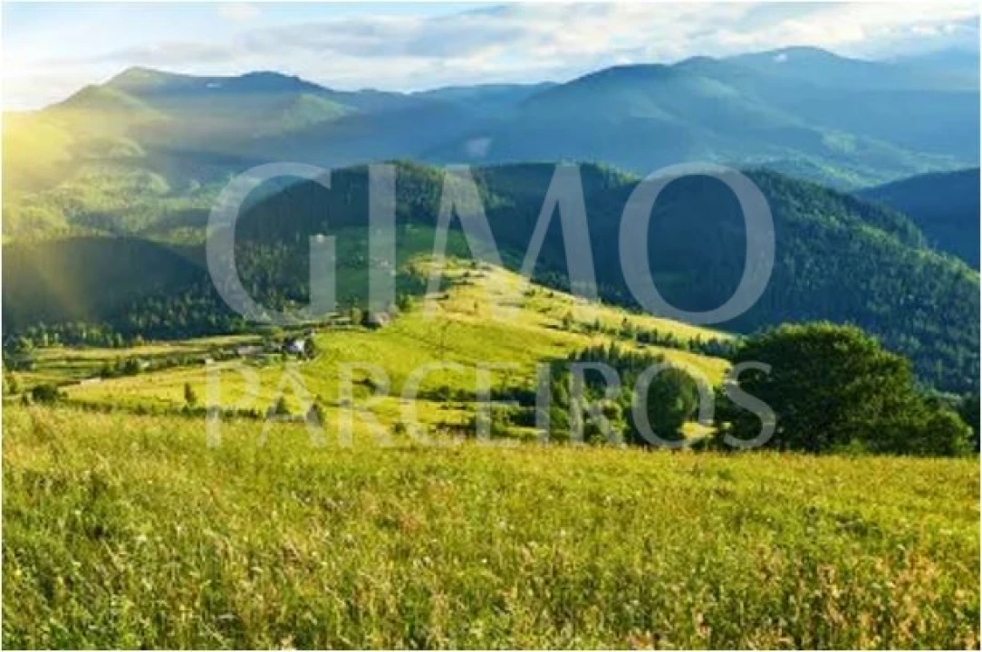 Terreno para Venda em Oiã Foto 1