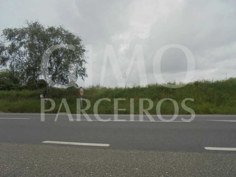 Terreno para Venda em Oiã Foto 8