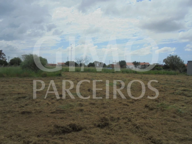 Terreno para Venda em Oiã Foto 2