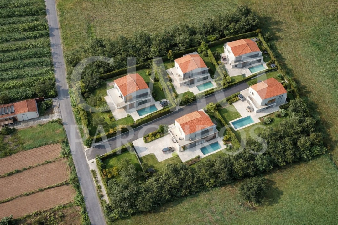 Terreno Agricola ou Rústico para Venda em Fermentelos Foto 13