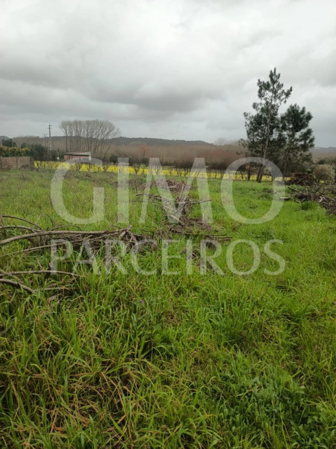 Terreno Agricola ou Rústico para Venda em Fermentelos Foto 7
