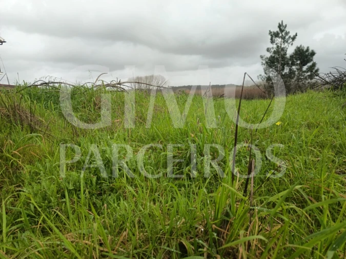 Terreno Agricola ou Rústico para Venda em Fermentelos