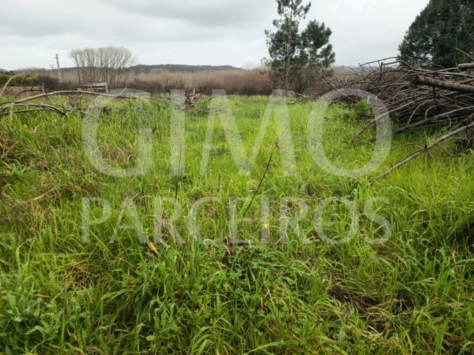 Terreno Agricola ou Rústico para Venda em Fermentelos Foto 4