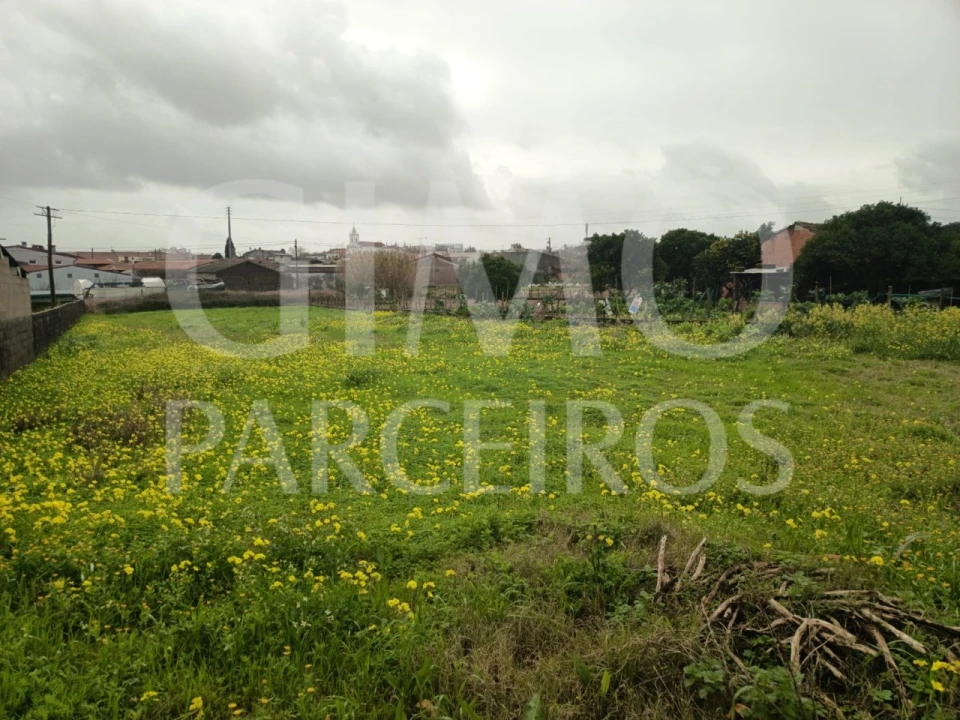 Terreno para Venda em Fermentelos Foto 1