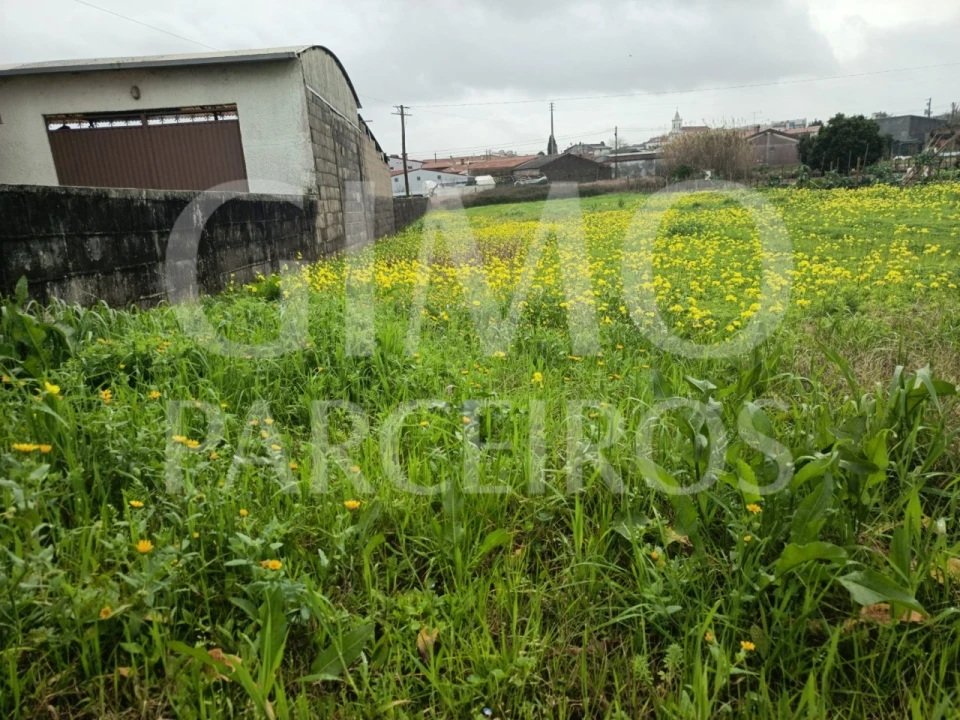 Terreno para Venda em Fermentelos Foto 4