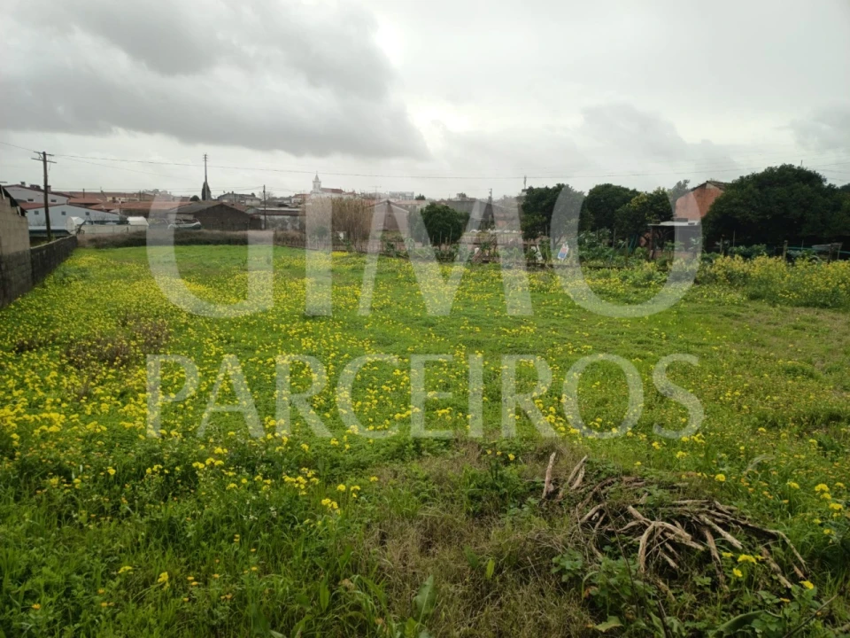Terreno para Venda em Fermentelos Foto 6