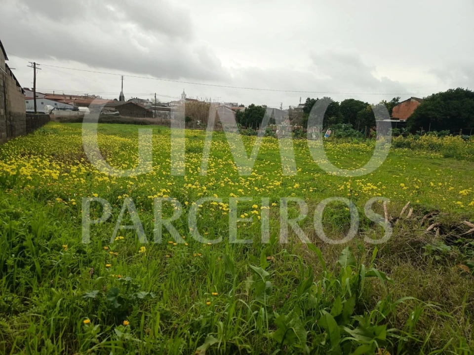 Terreno para Venda em Fermentelos Foto 10