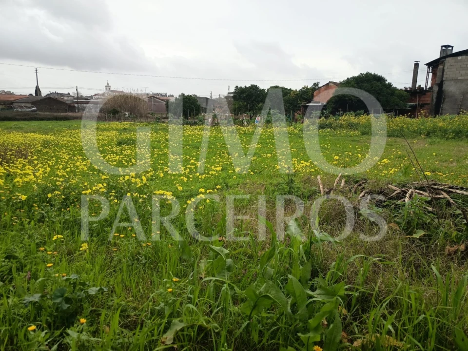 Terreno para Venda em Fermentelos Foto 11