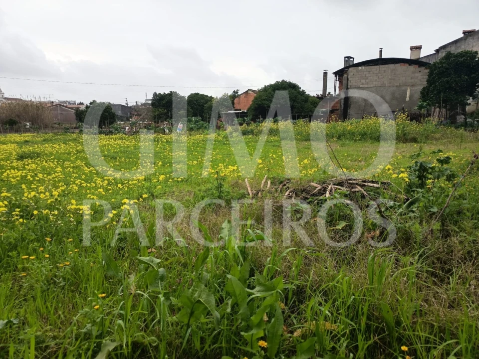 Terreno para Venda em Fermentelos Foto 12