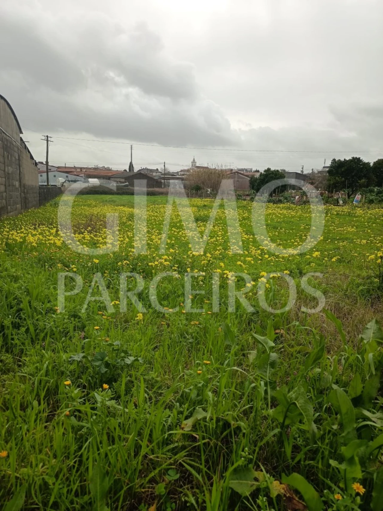 Terreno para Venda em Fermentelos Foto 14