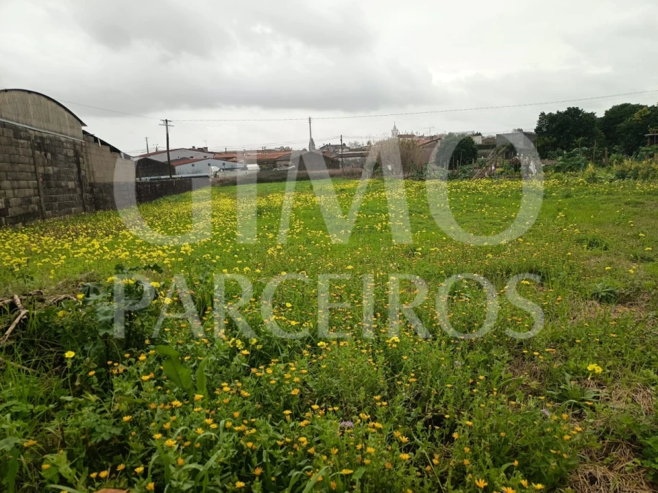 Terreno para Venda em Fermentelos Foto 24