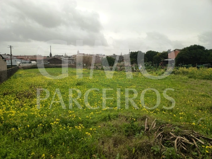 Terreno para Venda em Fermentelos Foto 1