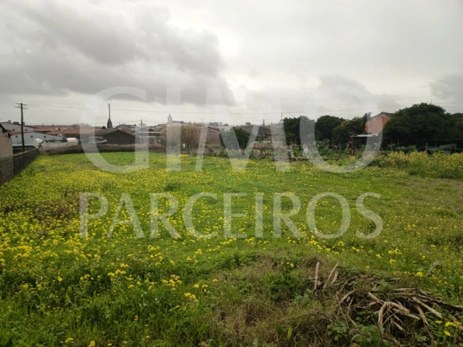 Terreno para Venda em Fermentelos Foto 2
