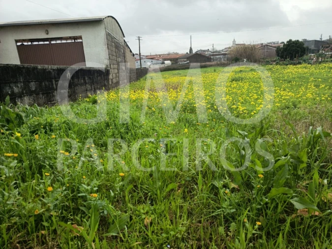 Terreno para Venda em Fermentelos Foto 4