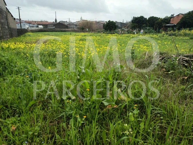 Terreno para Venda em Fermentelos Foto 5