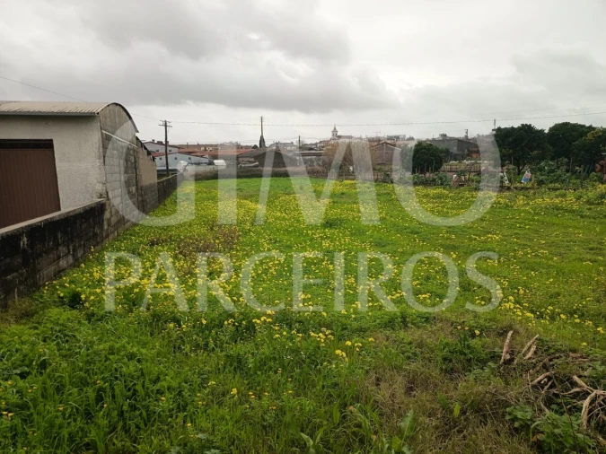Terreno para Venda em Fermentelos Foto 7