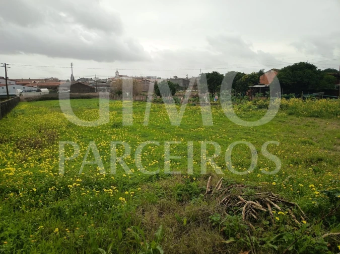 Terreno para Venda em Fermentelos Foto 8