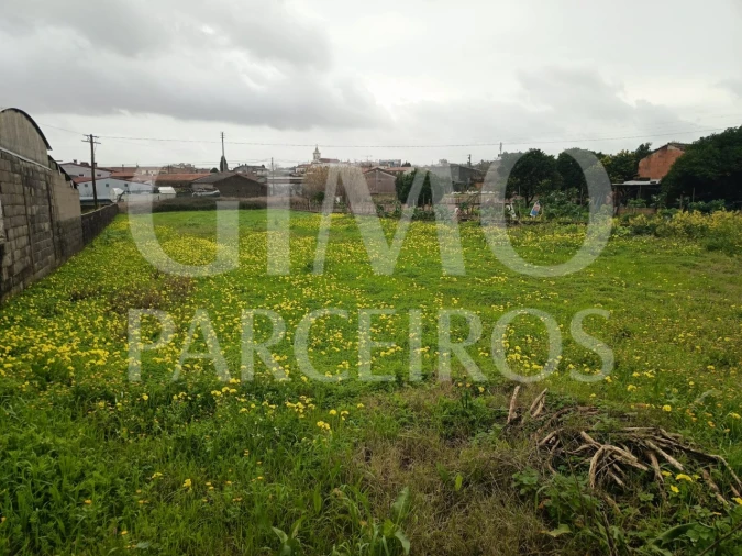 Terreno para Venda em Fermentelos Foto 9