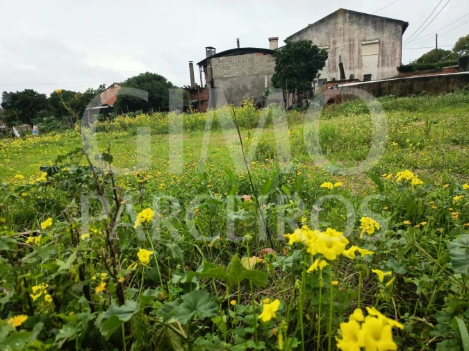 Terreno para Venda em Fermentelos Foto 18