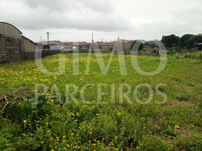 Terreno para Venda em Fermentelos Foto 20