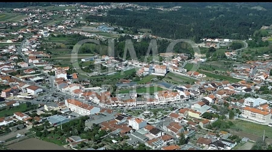 Negócio para Venda em Palhaça