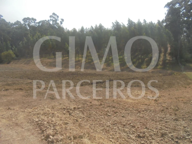 Terreno para Venda em Sangalhos Foto 2