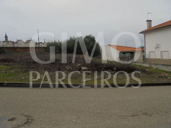 Terreno para Venda em Avelãs de Caminho Foto 1