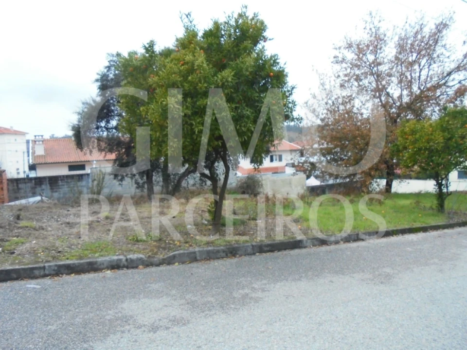 Terreno para Venda em Avelãs de Caminho Foto 2