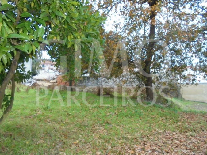 Terreno para Venda em Avelãs de Caminho Foto 1