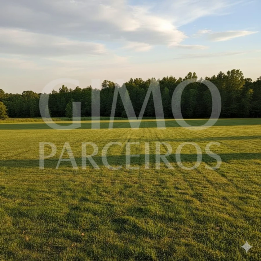 Terreno para Venda em Oiã Foto 1