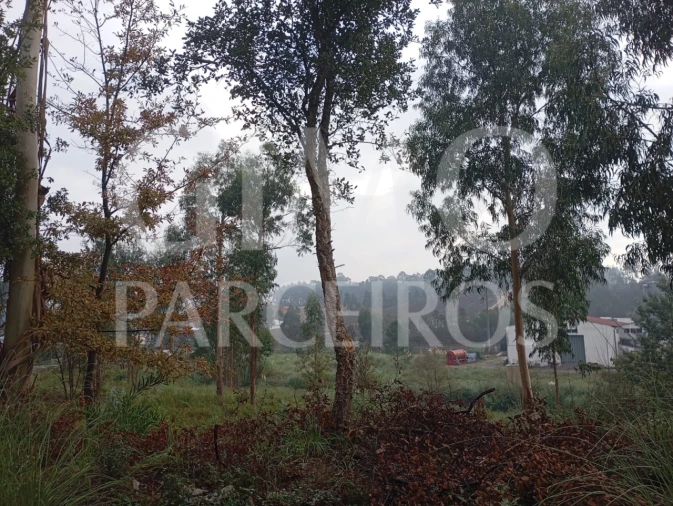 Terreno para Venda em Oiã Foto 3