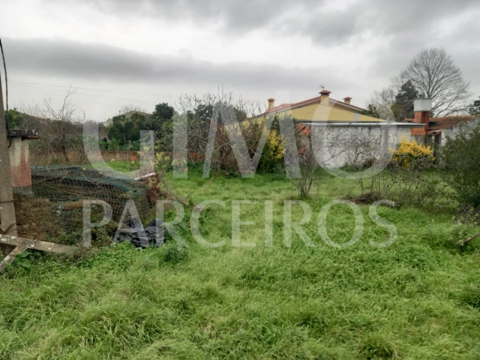 Terreno para Venda em Oiã Foto 10
