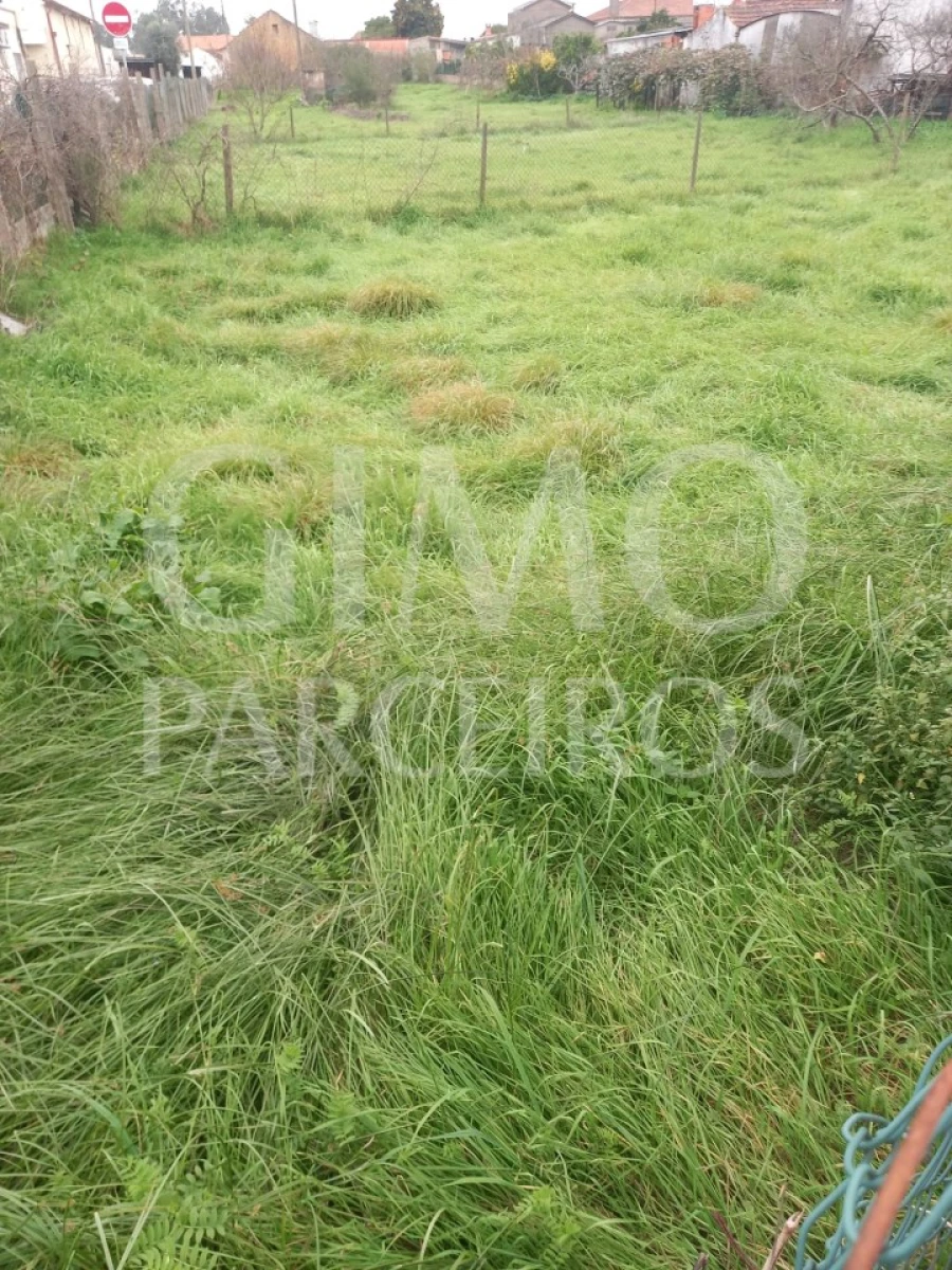 Terreno para Venda em Oiã Foto 1