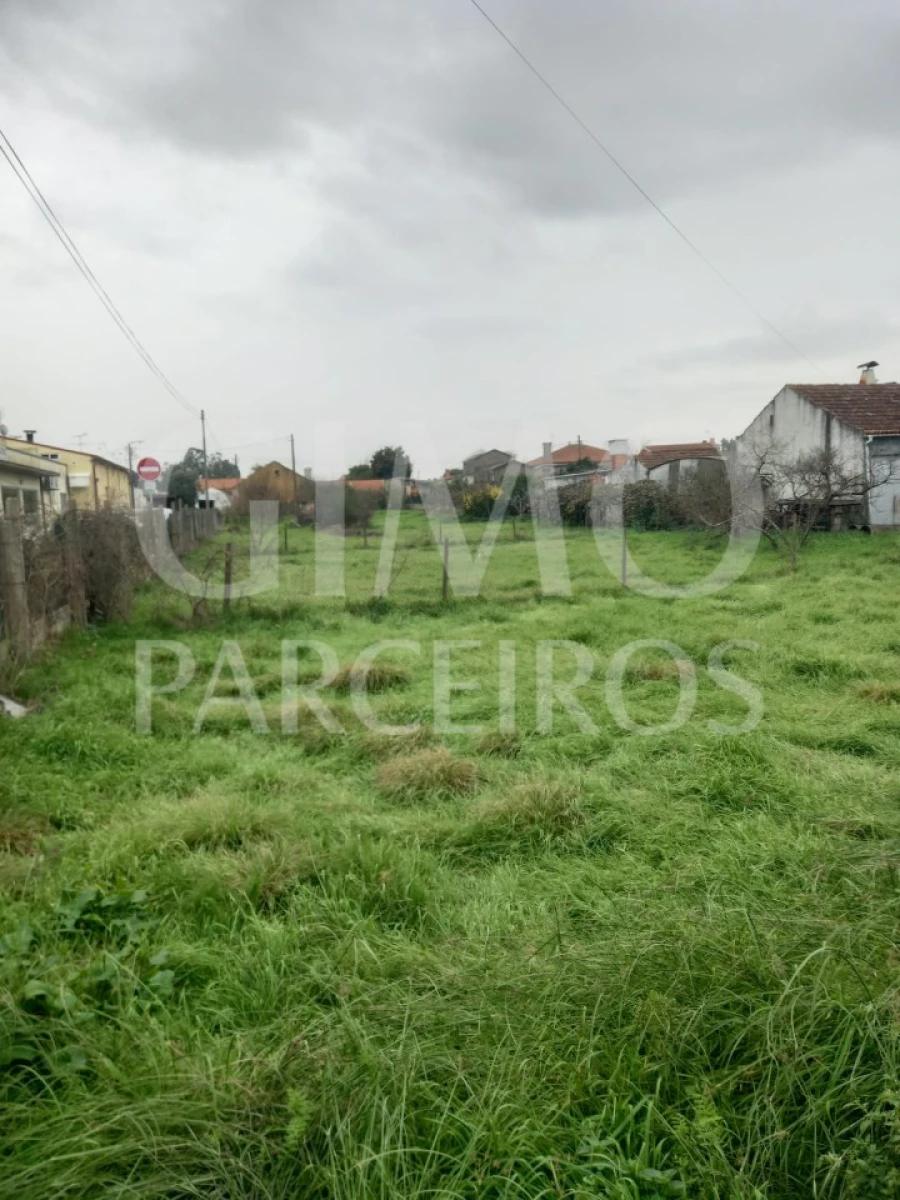 Terreno para Venda em Oiã Foto 2