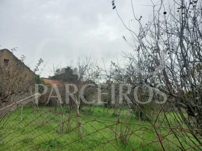 Terreno para Venda em Oiã Foto 7