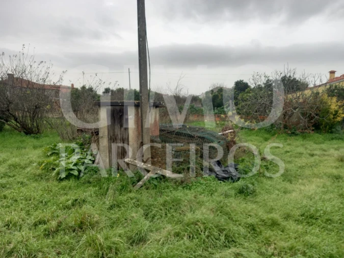 Terreno para Venda em Oiã Foto 9