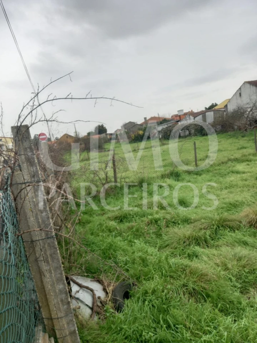 Terreno para Venda em Oiã Foto 12